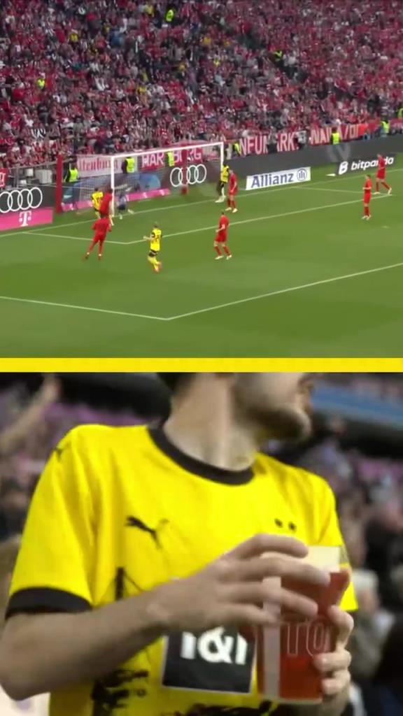 勇者無(wú)懼！這是真多特球迷！在拜仁球迷區(qū)一個(gè)人肆意慶祝！